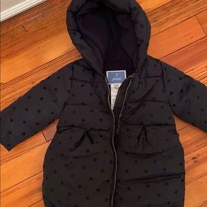 Jacardi Girls Size 12 Month Navy Blue Puffer